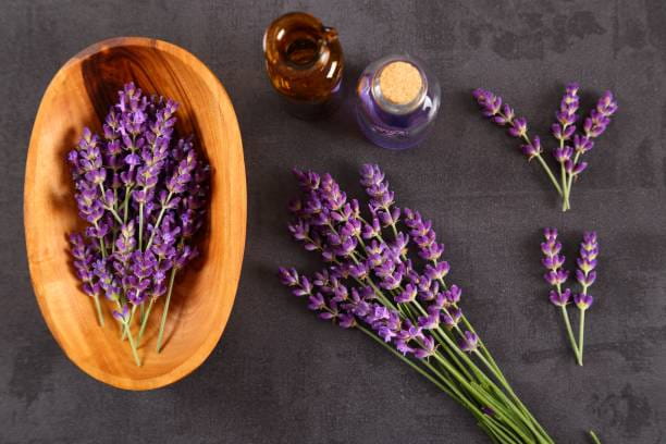 فروش پودر اسطوخودوس